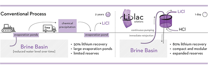 Lilac's Process