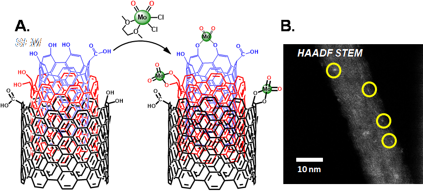 icep1